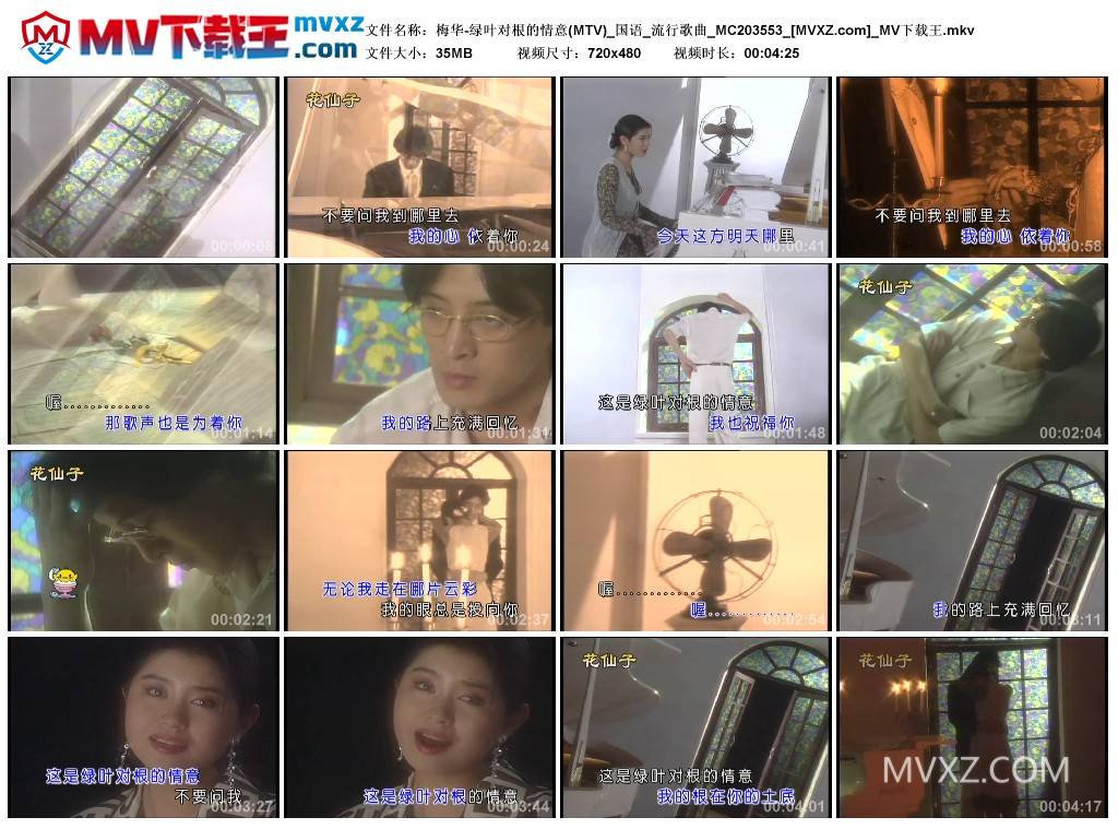 梅华-绿叶对根的情意(MTV)_国语_流行歌曲_MC203553